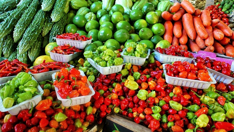 primeur-LA VALETTE DU VAR-min_farmers-market-1329008