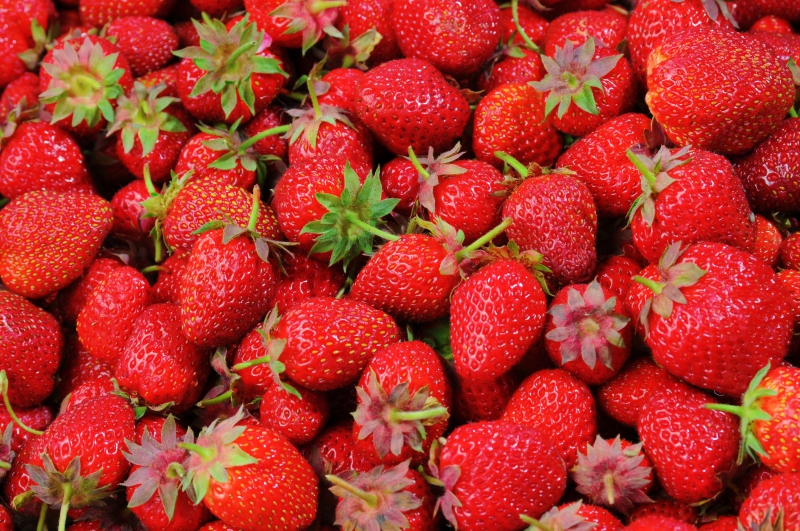 primeur-LA VALETTE DU VAR-min_strawberries-528791